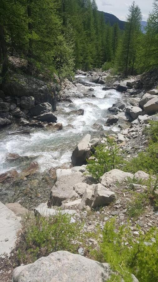 Les Marmottes D Estenc Bagian luar foto