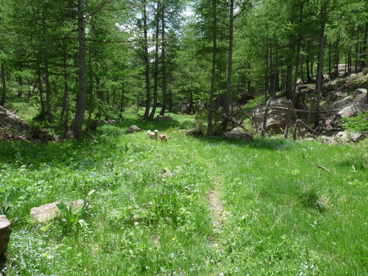 Les Marmottes D Estenc Bagian luar foto