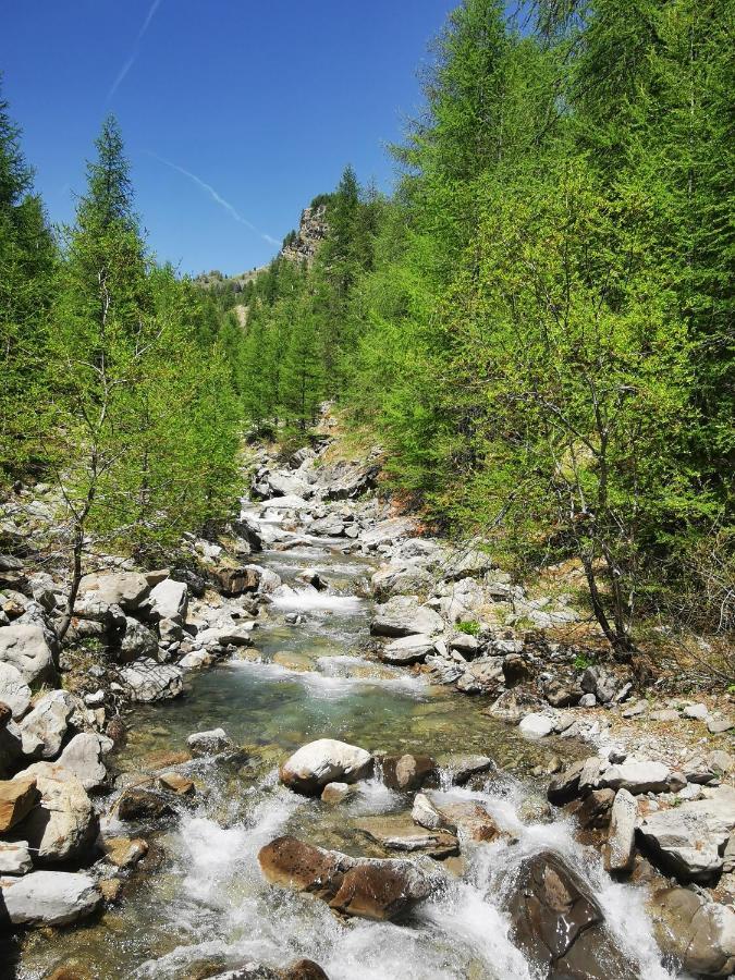 Les Marmottes D Estenc Bagian luar foto