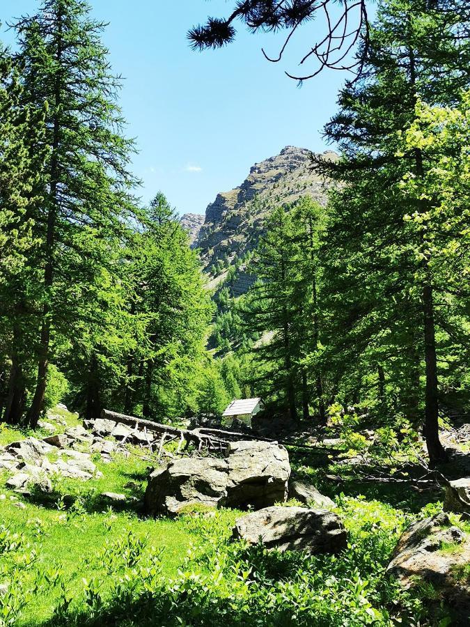 Les Marmottes D Estenc Bagian luar foto